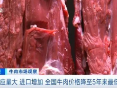 牛肉价格已经连续11个月下跌,5年来最低